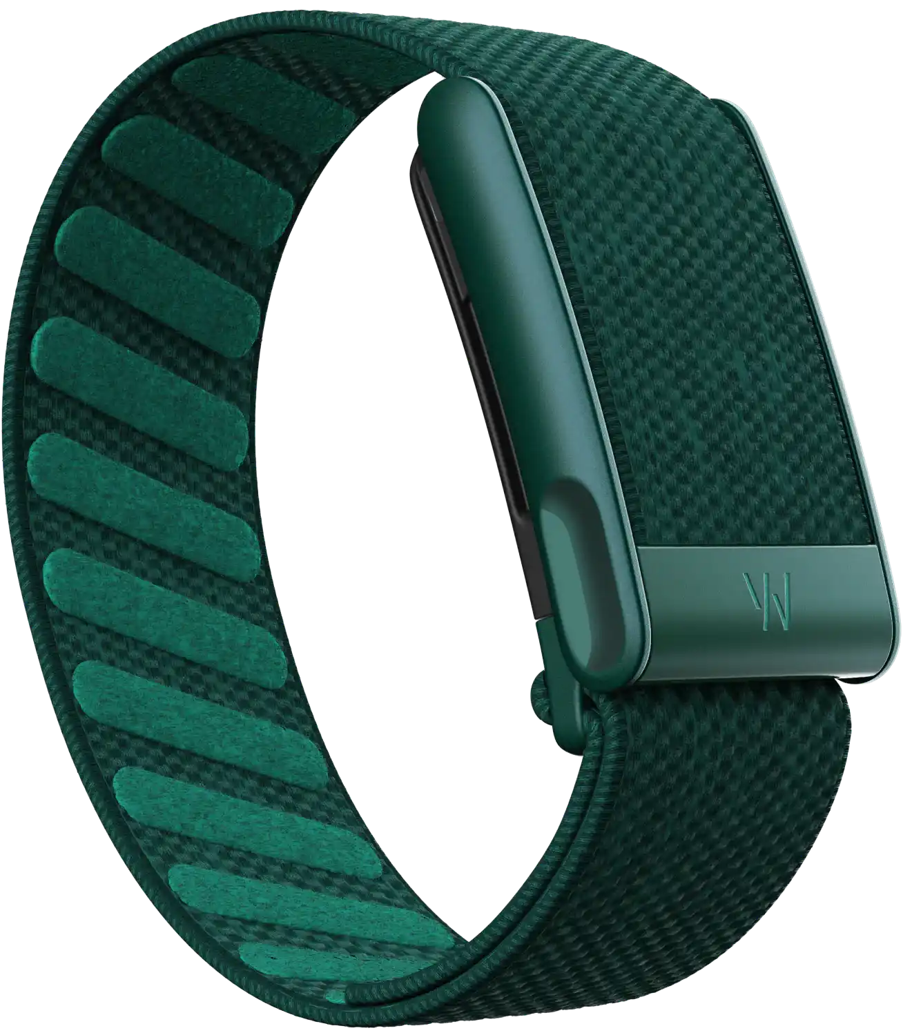 Green textured watch strap on a white background