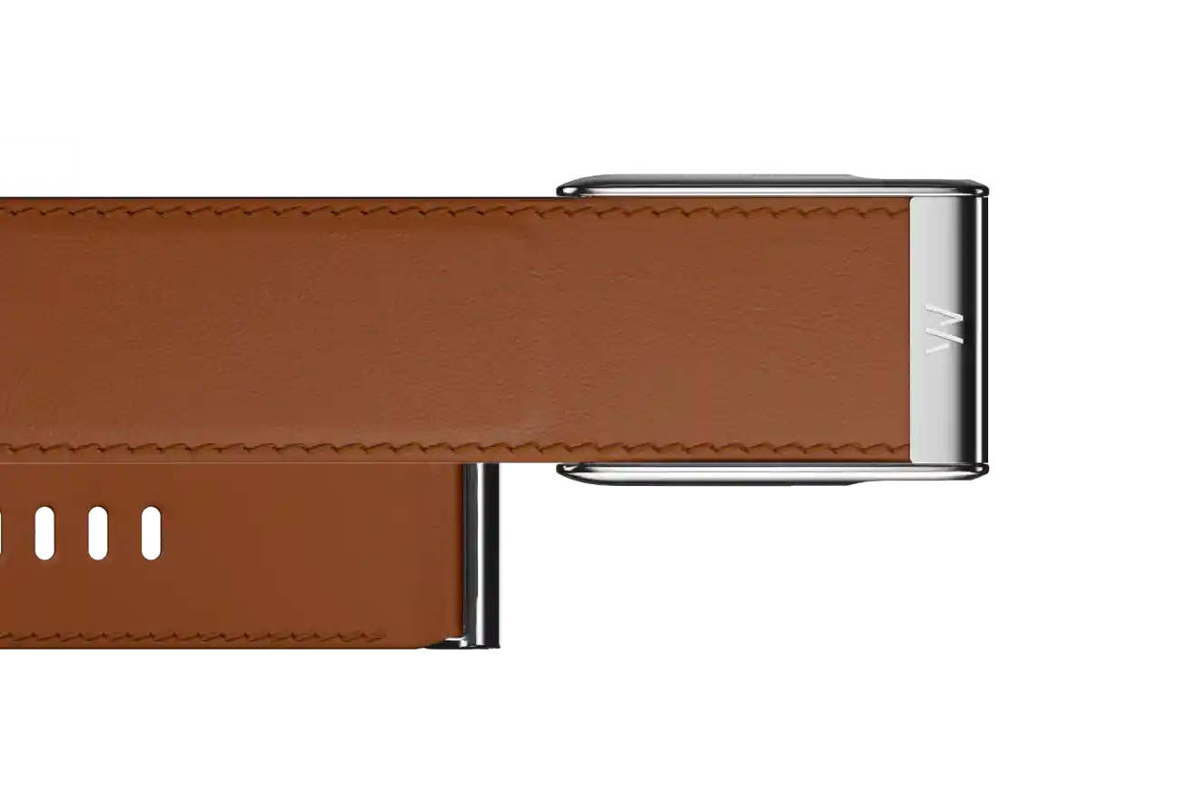 Brown leather strap with silver buckle on a white background