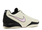 NIKE JA 2 LAST CALL