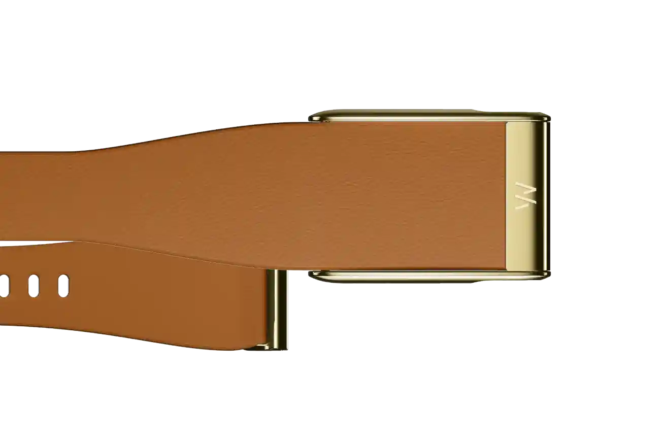 Brown belt with gold buckle on a white background
