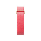GOOGLE FITBIT AIR BERRY