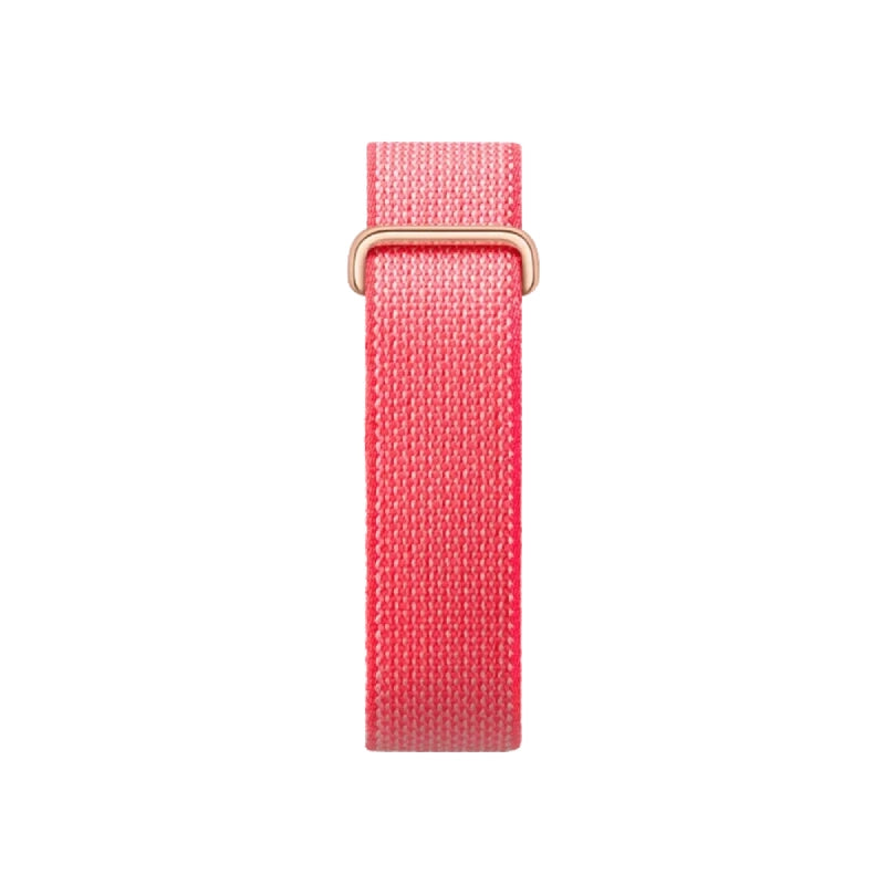 GOOGLE FITBIT AIR BERRY