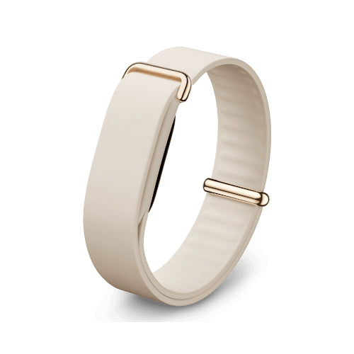 GOOGLE FITBIT AIR ELEVATED MODERN BAND