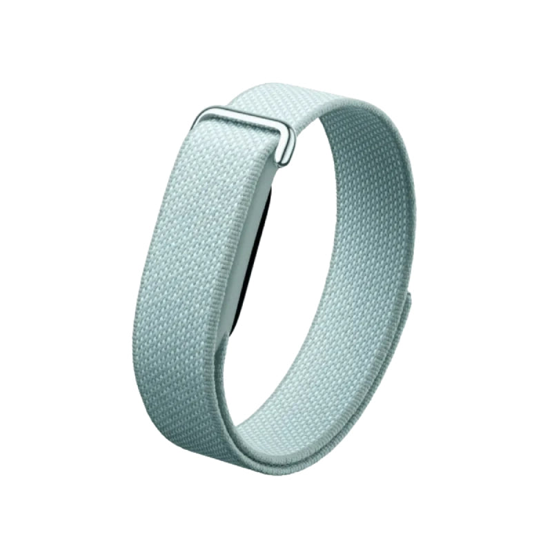 GOOGLE FITBIT AIR "FOG"