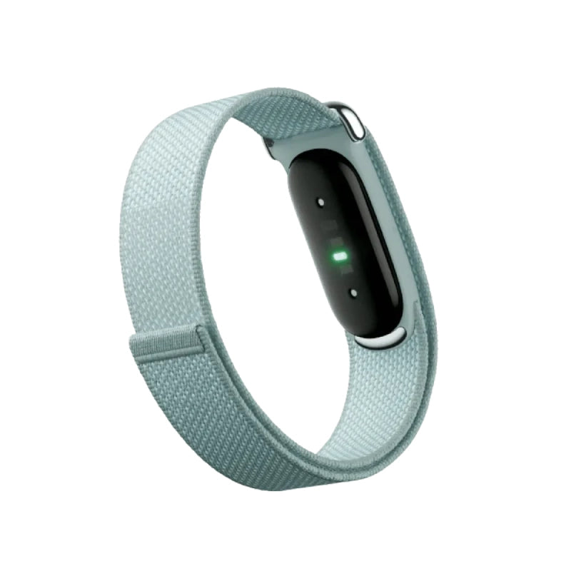 GOOGLE FITBIT AIR "FOG"