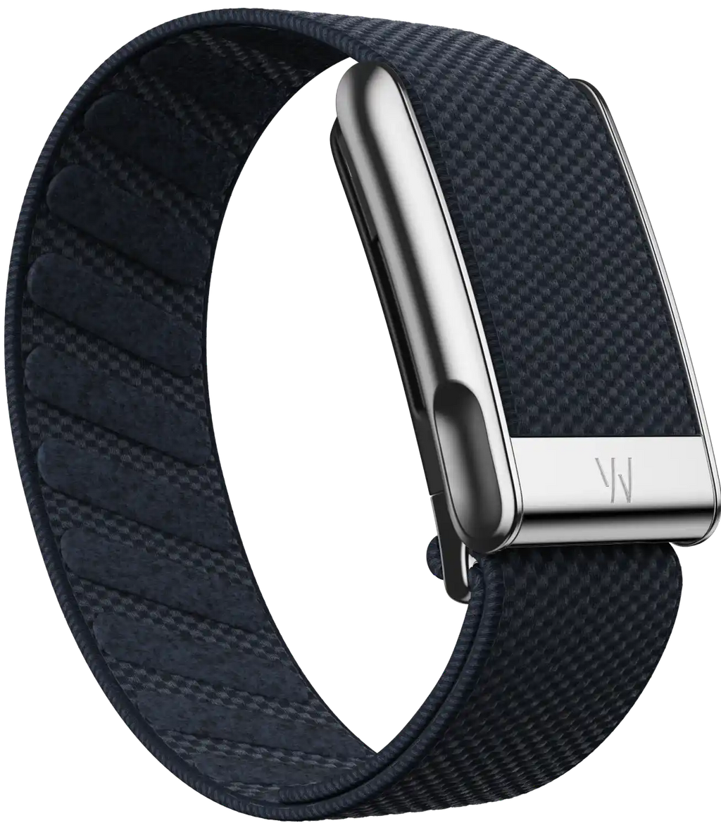 Navy blue watch strap with silver clasp on a white background