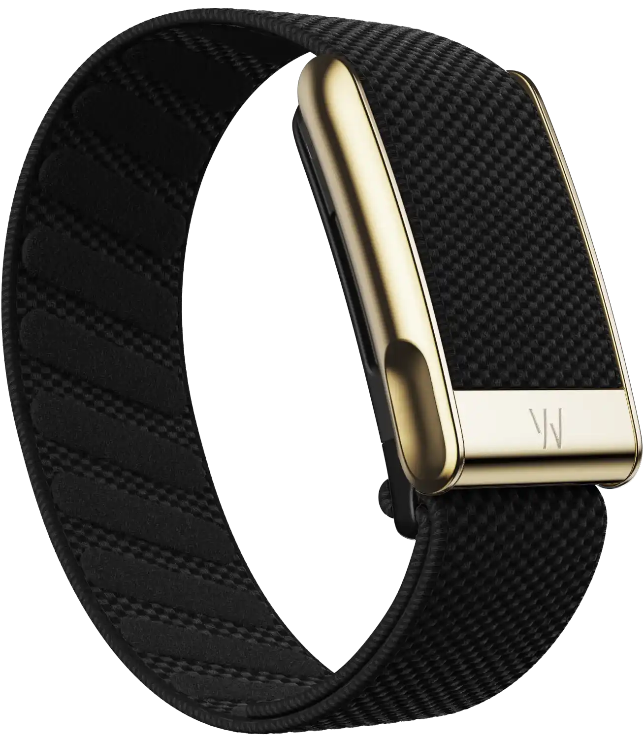 Black watch strap with gold buckle on a white background