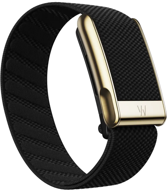 Black watch strap with gold buckle on a white background