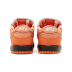 SB DUNK LOW ORANGE LOBSTER