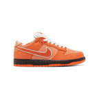 SB DUNK LOW ORANGE LOBSTER