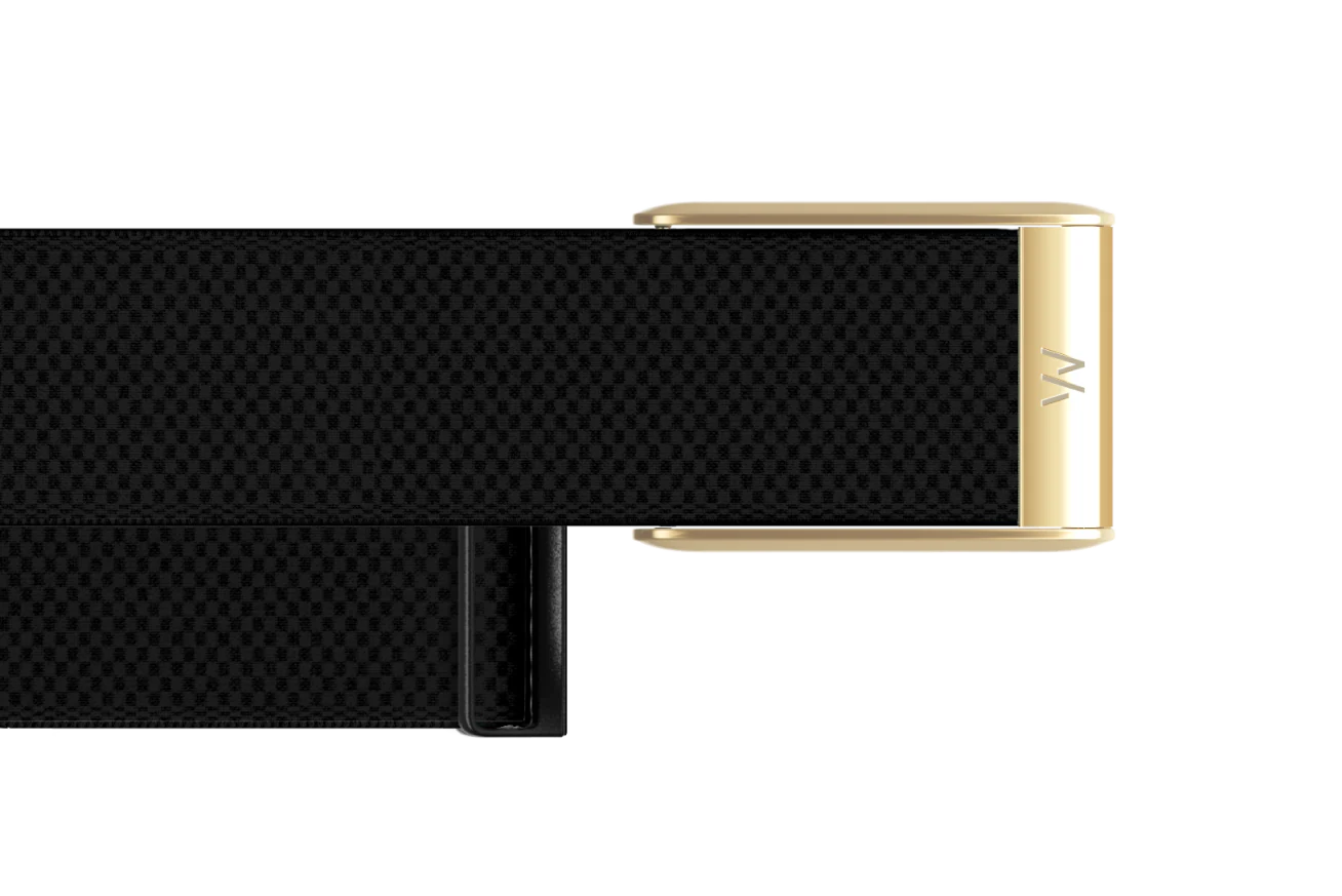 Black belt with gold buckle on a white background