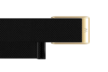 Black belt with gold buckle on a white background