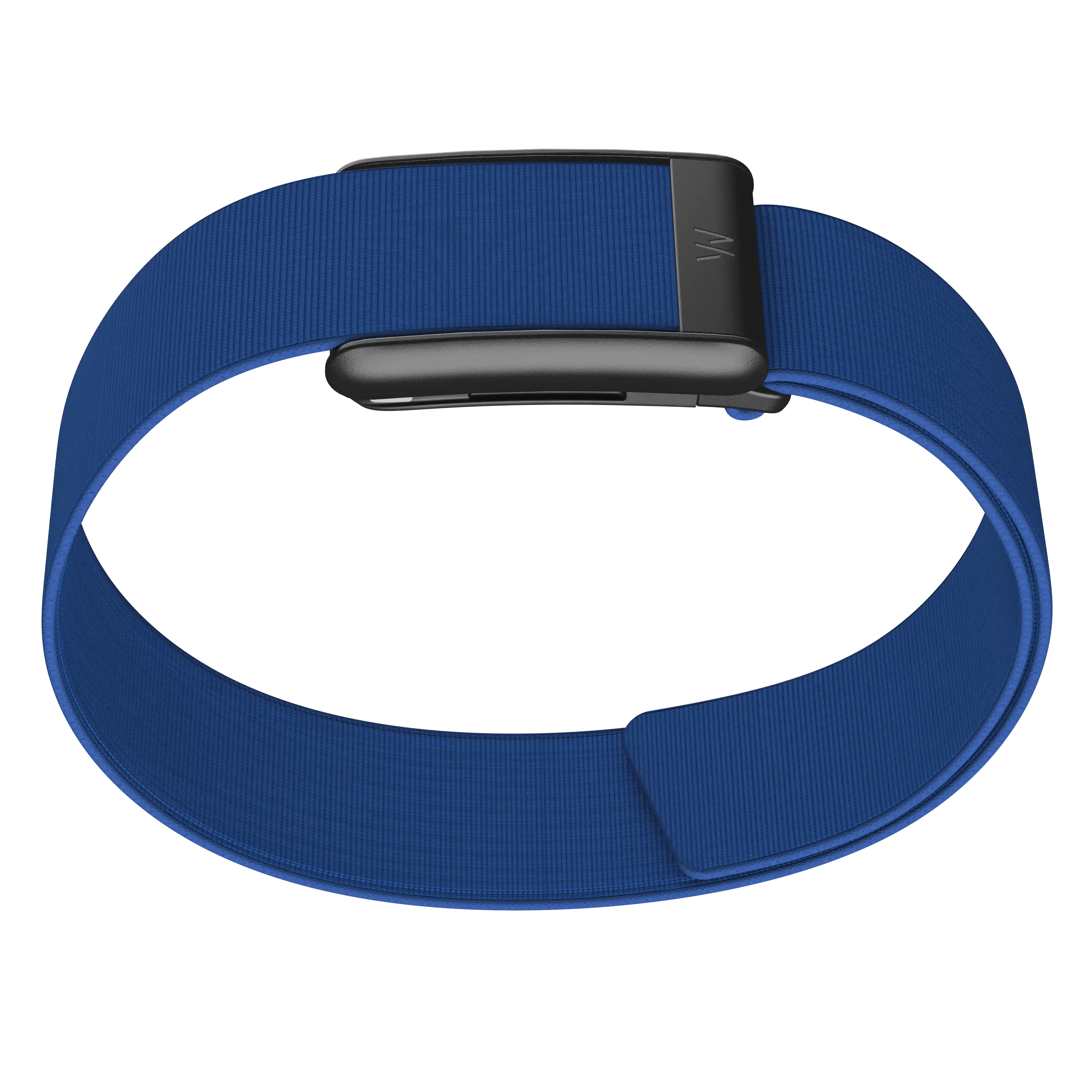Blue belt with a black buckle on a white background