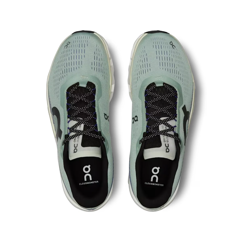 ON RUNNING CLOUDMONSTER 2 MINERAL ALOE